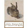 Der Feldhase