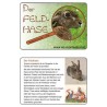 Der Feldhase