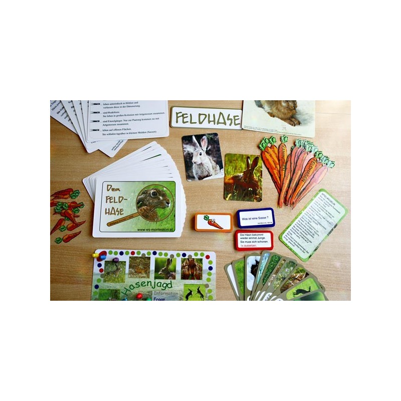 Der Feldhase