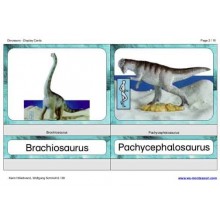 Dinosaurs (Dieser Artikel ist auch in deutsch erhältlich)