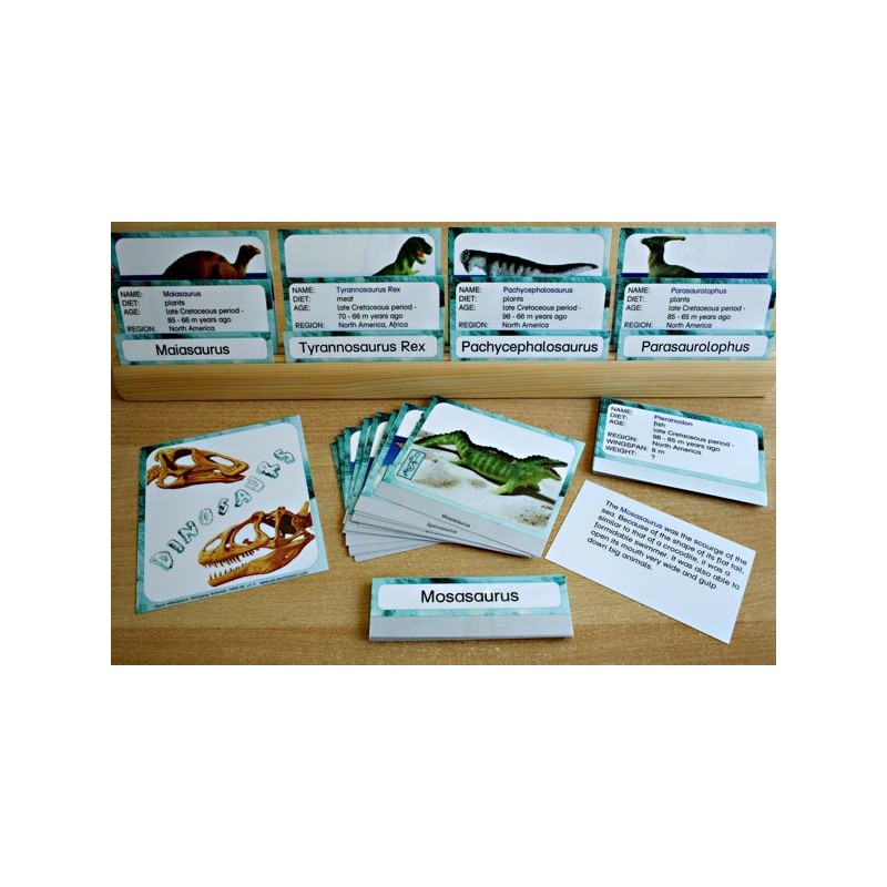 Dinosaurs (This article is also available in German)