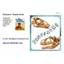 Dinosaurs (Dieser Artikel ist auch in deutsch erhältlich)