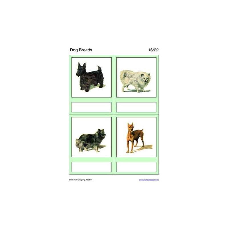 Dog Breeds