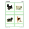 Dog Breeds