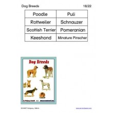 Dog Breeds