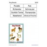 Dog Breeds
