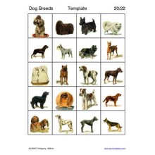 Dog Breeds