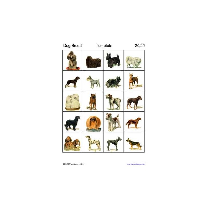 Dog Breeds