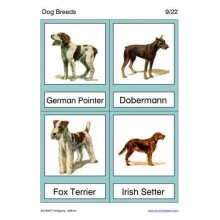 Dog Breeds