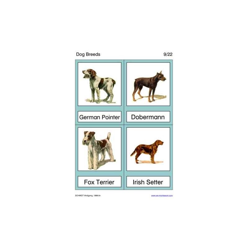 Dog Breeds