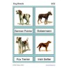 Dog Breeds
