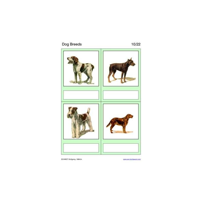 Dog Breeds