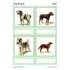 Dog Breeds