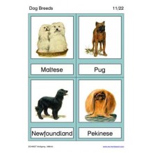 Dog Breeds