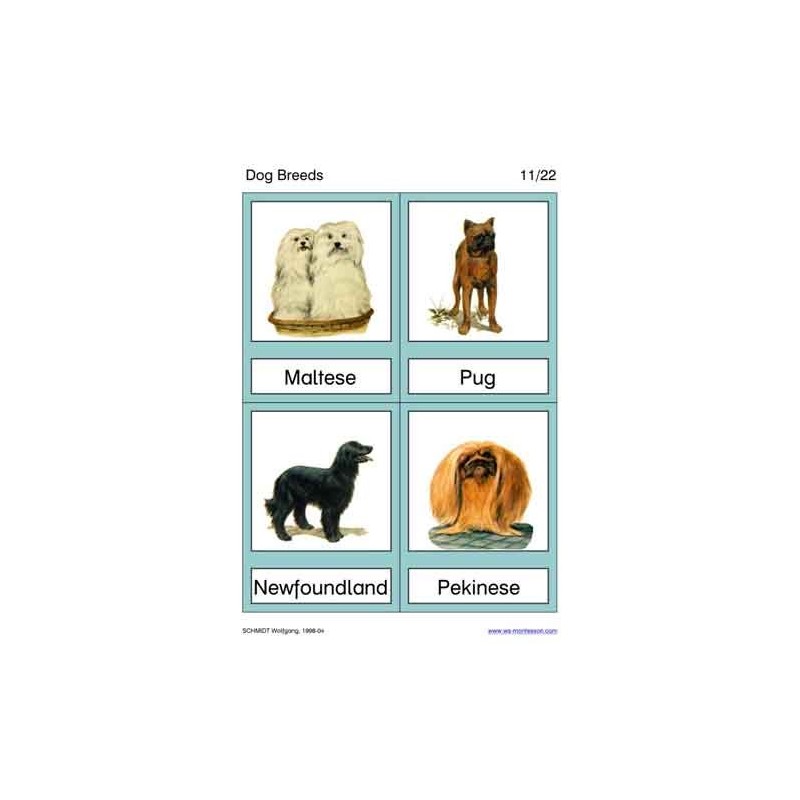 Dog Breeds