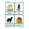 Dog Breeds