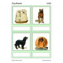 Dog Breeds