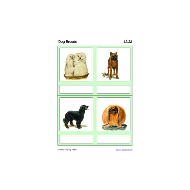 Dog Breeds