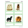 Dog Breeds