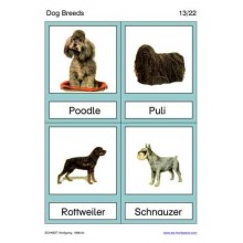 Dog Breeds