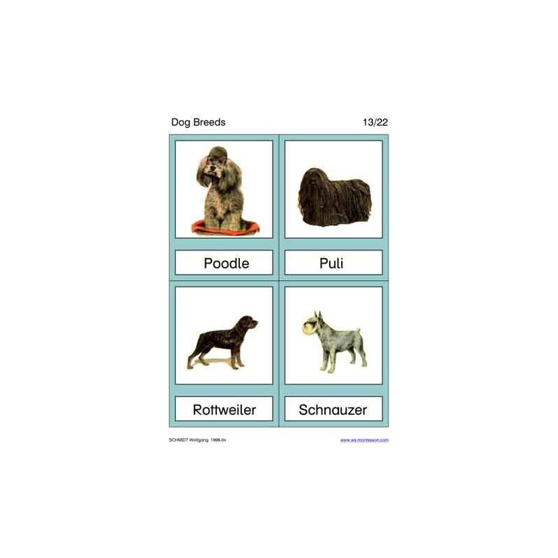 Dog Breeds