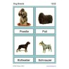 Dog Breeds