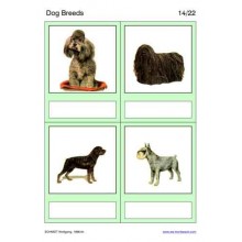 Dog Breeds