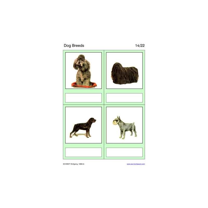 Dog Breeds