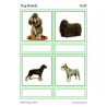 Dog Breeds