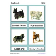 Dog Breeds