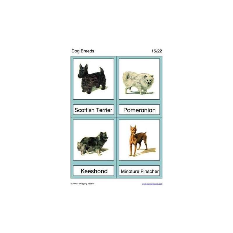 Dog Breeds
