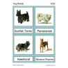 Dog Breeds