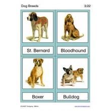 Dog Breeds