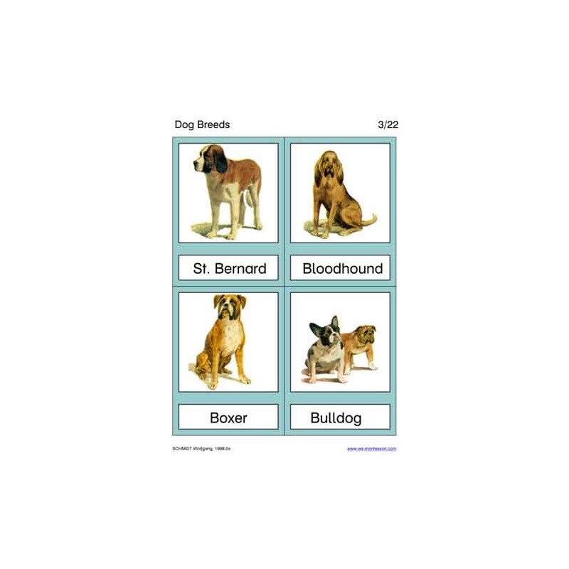 Dog Breeds