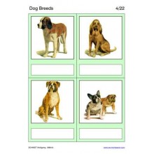 Dog Breeds