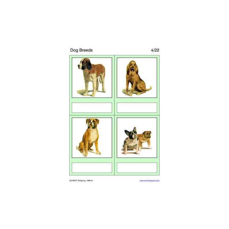 Dog Breeds