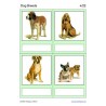 Dog Breeds