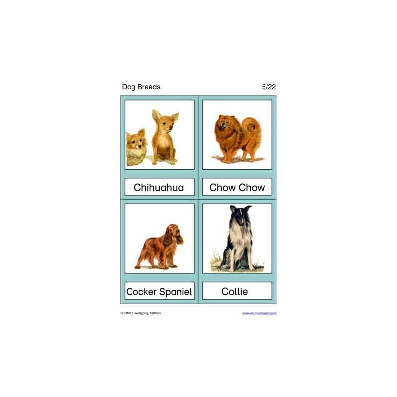 Dog Breeds