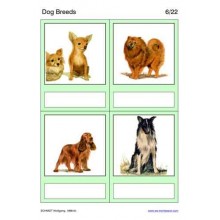 Dog Breeds
