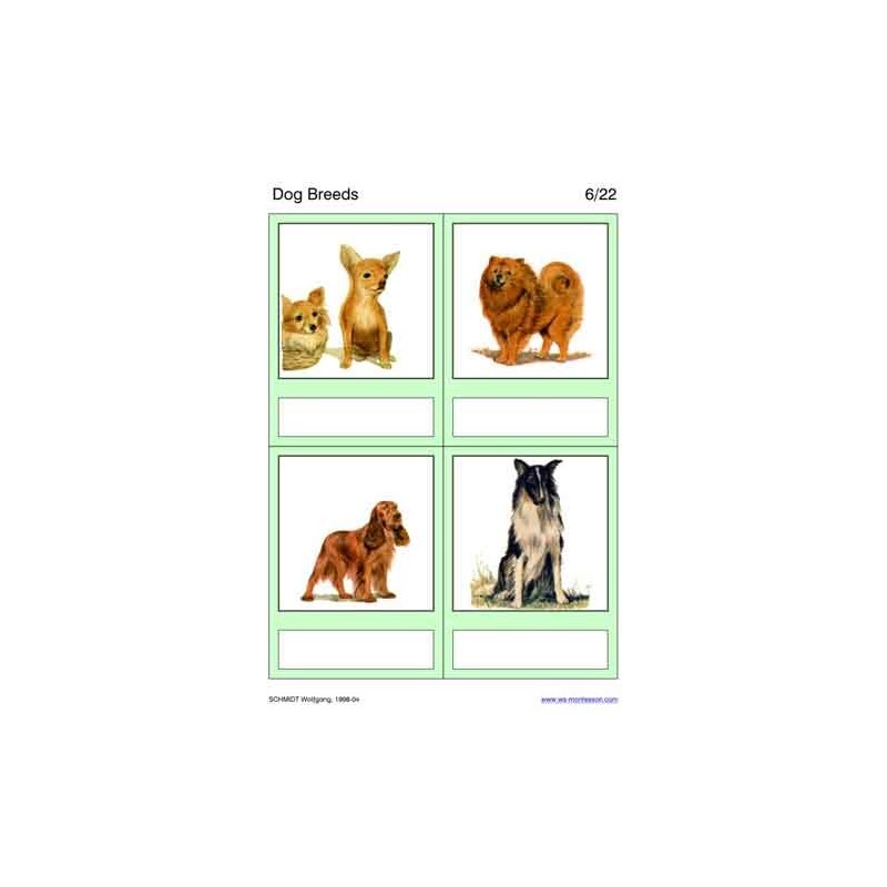 Dog Breeds