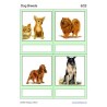 Dog Breeds