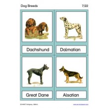 Dog Breeds