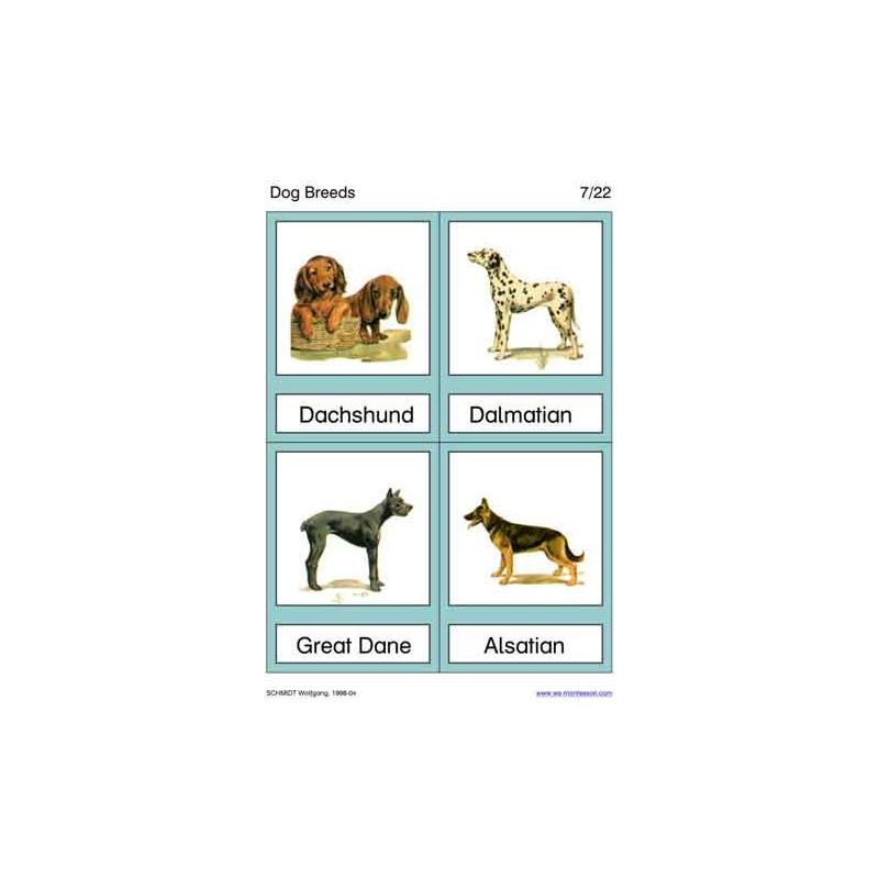Dog Breeds