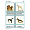 Dog Breeds