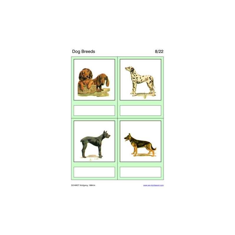 Dog Breeds