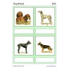 Dog Breeds