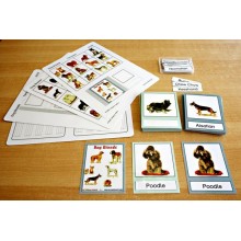 Dog Breeds