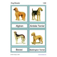 Dog Breeds