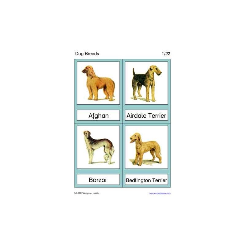 Dog Breeds