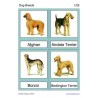 Dog Breeds